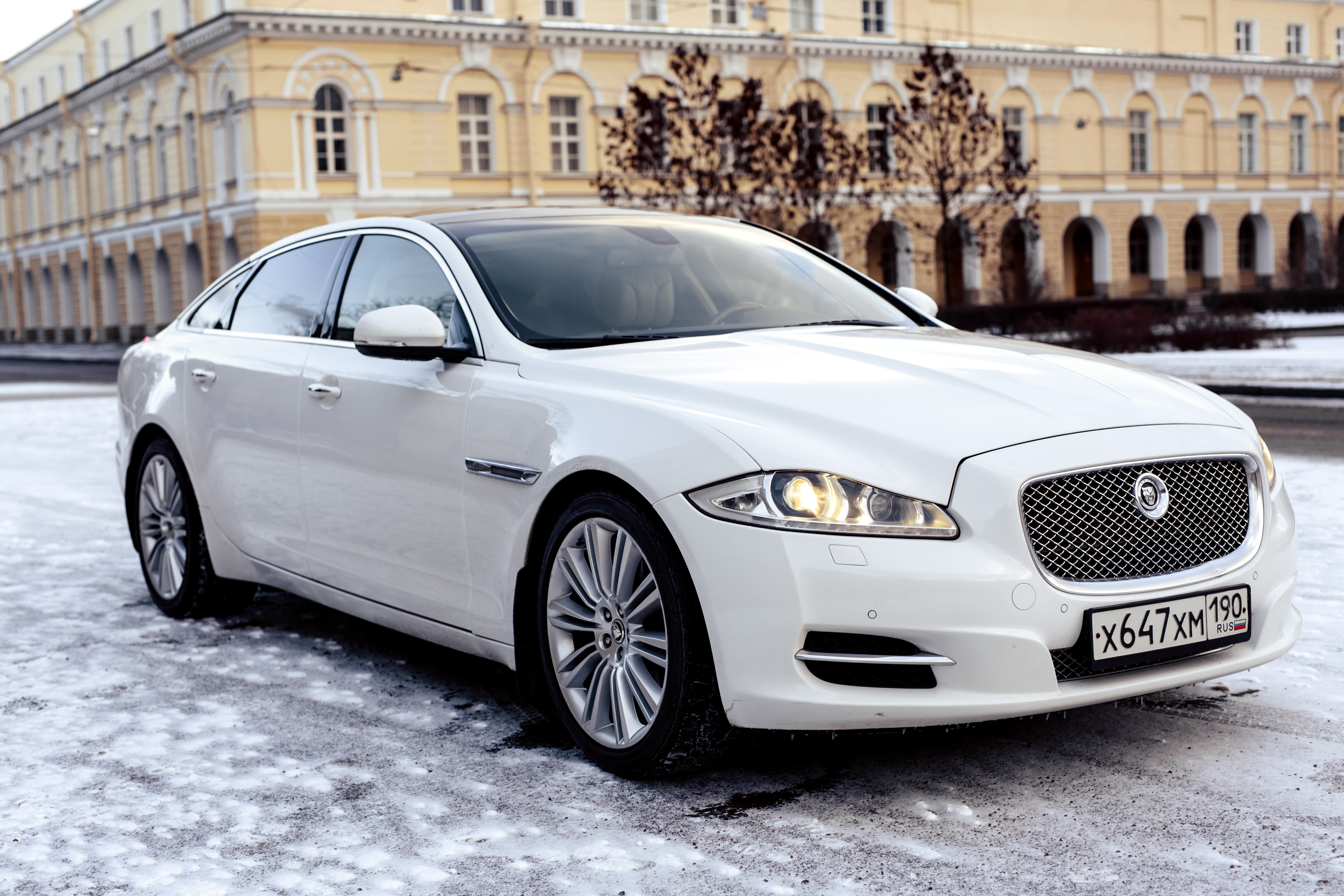 Jaguar